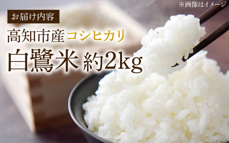 農薬節減！ R7年度産 特別栽培米 白鷺米 コシヒカリ 約2kg ＜2025年9月中旬?発送＞ / 高知 米 お米 精米 　【津ノ宮農園】[ATBV018]