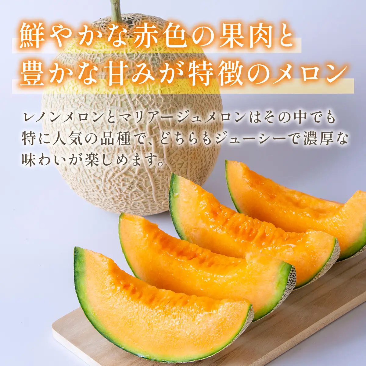 【先行予約】赤肉メロン（レノンまたはマリアージュメロン）約1.3kg 果物 くだもの 旬 ご褒美 季節の果物 赤肉 メロン 八代市産 【2026年6月中旬より順次発送】