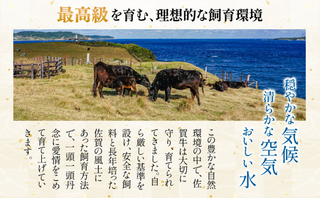 訳あり 佐賀牛焼肉切り落とし1kg（500g×2P）