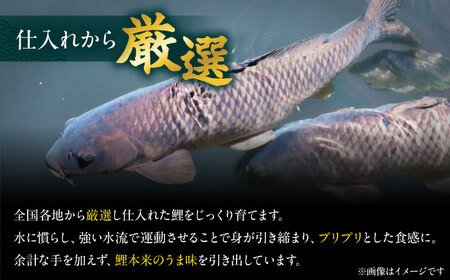 原養魚場 食事券 9,000円分[AOEA003] 大阪旅行