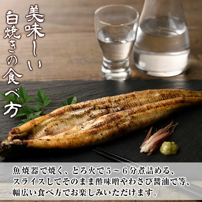 【お中元】国産 うなぎ 白焼き 大 3尾 約480g うなぎ【00-025-08-R8OC】