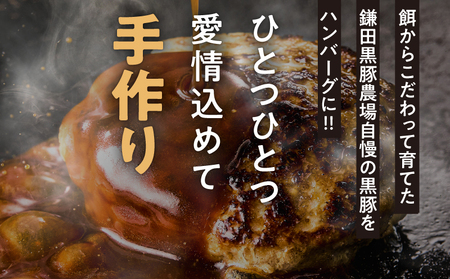 鹿児島県産 黒豚 生 ハンバーグ 800g（80g×10個） KN054-013 肉 豚肉 冷凍