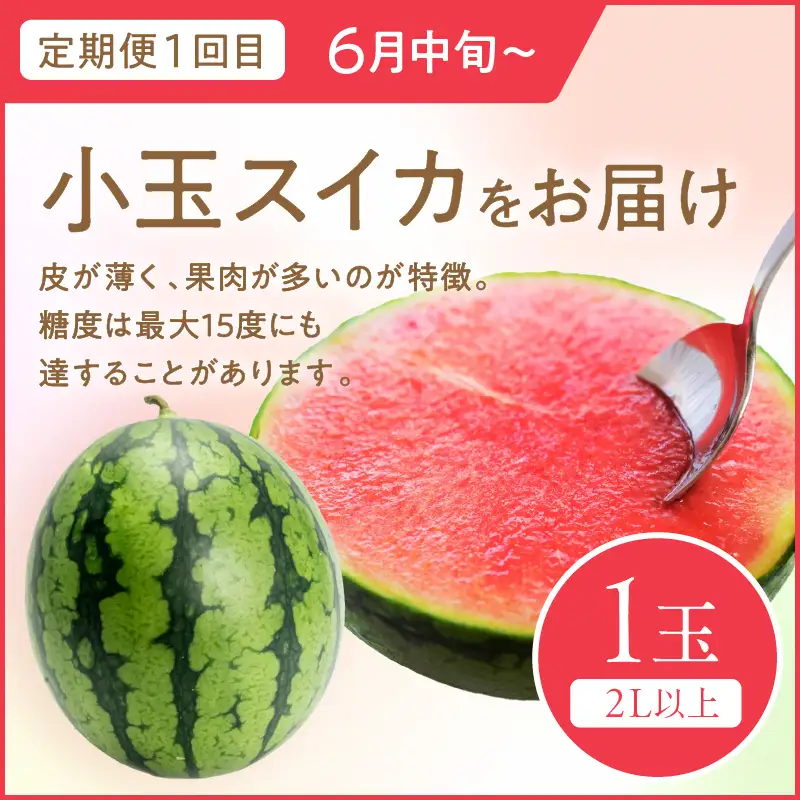 【先行予約】道の駅がおすすめする夏のフルーツ定期便～すいか・メロン～