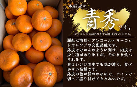 BF6063_【2027年先行受付】麗紅柑 (れいこう) 青秀品 (家庭用) 2S～3Lサイズ 3kg 和歌山有田産