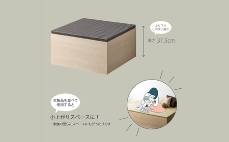 家具 畳ボックス収納 ホワイト×ダークグレー ≪ZCM-3060BX-WH-DG≫ 家具 朝日木材