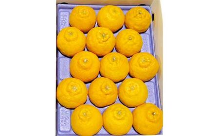 【先行予約 2027年2月～3月頃お届け】不知火(約4kg) しらぬい 柑橘 果物 香川 みかん F5J-954