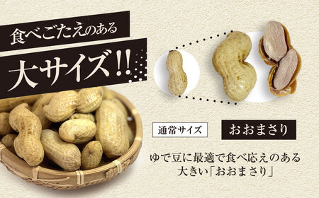 【令和7年産】冷凍　ゆでらっかせいおおまさり　900g 【 ふるさと納税 人気 おすすめ ランキング 落花生 おおまさり 冷凍 大粒 大容量 千葉県 山武市 送料無料 】SME007