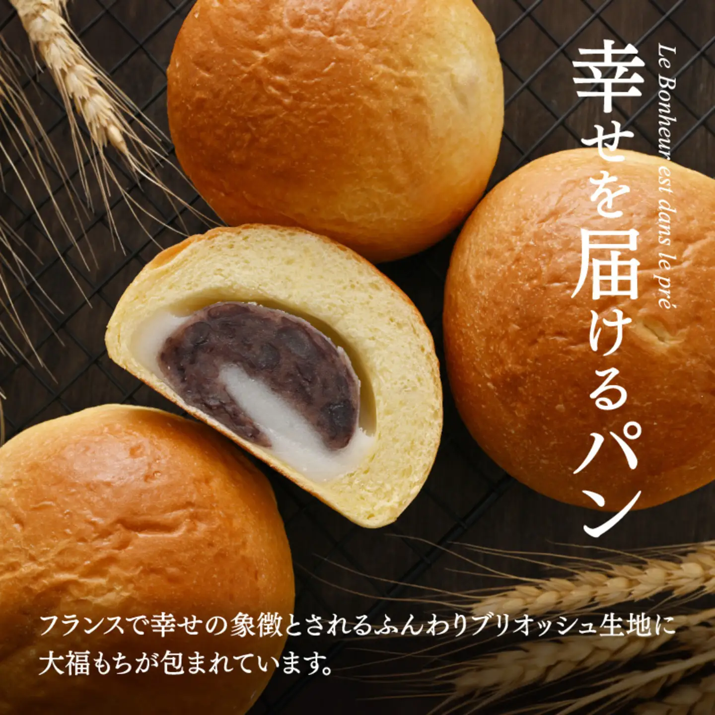ヨーロッパンキムラヤの大福あんぱん（10個入）
