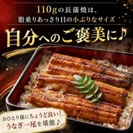 食品添加物不使用の浜名湖うなぎ蒲焼　約110g蒲焼×5尾(付属タレ×1、山椒×5)【配送不可地域：離島】【1616751】