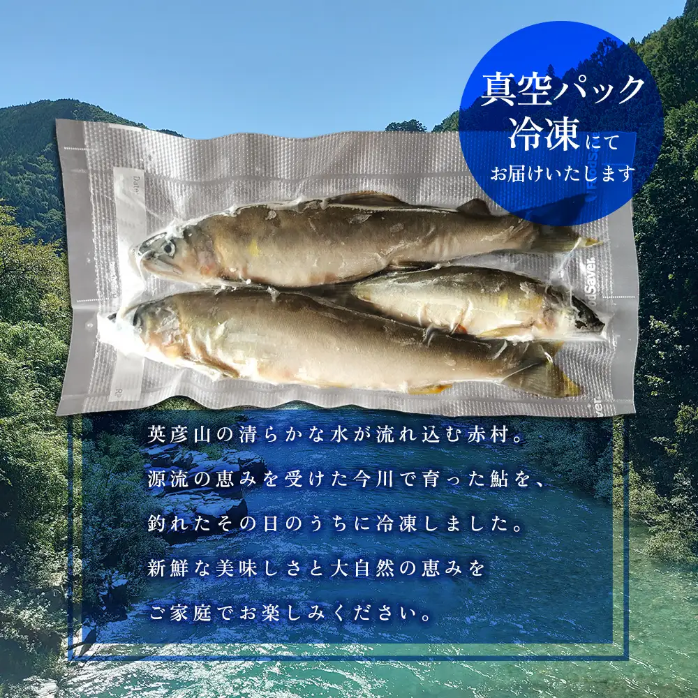 冷凍鮎　約300g 3E4