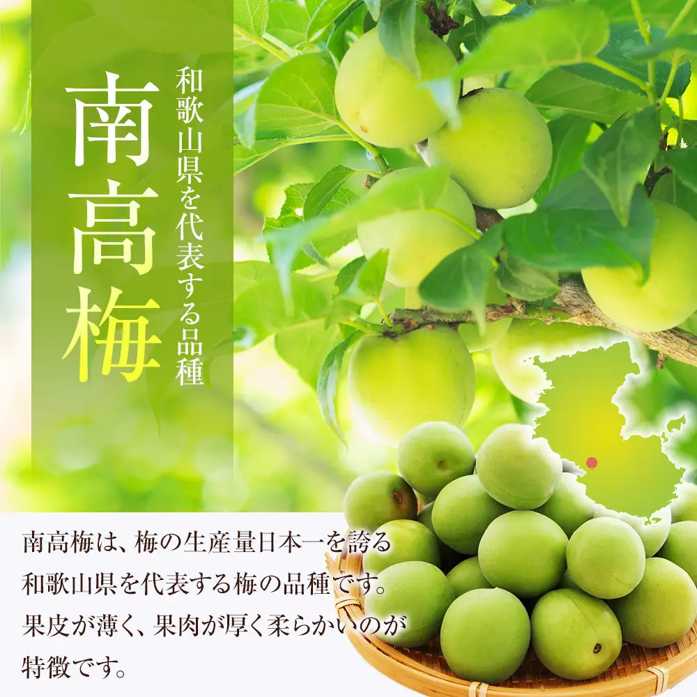 冷凍 紀州南高梅 青梅 約2kg L～4Lサイズ混合 ご家庭用