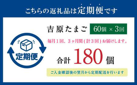  【3ヶ月定期便】濃厚プレミアム！！吉原たまご2箱 30個入り×2箱 計60個（54個＋割れ保証6個） 卵 たまご