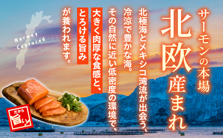 アトランティックプリンスサーモン(プレミアム)500g アトランティックプリンスサーモン モウイプリンス サーモン 鮭 お寿司 寿司 刺身 にぎり寿司 カルパッチョ サラダ グリル