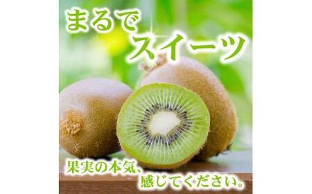 キウイ 家庭用 2.5kg+250g（痛み補償分） / キウイフルーツ 訳あり 和歌山 ※2026年11月中旬～2027年4月下旬に順次発送 ※北海道・沖縄・離島への配送不可 【ikd505-c-2d5A】