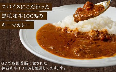 黒毛和牛キーマカレー 15袋　3回定期便[BACI013] カレー