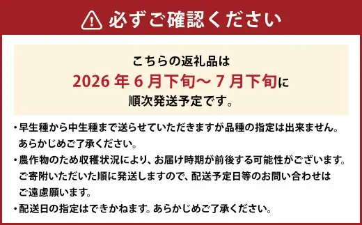 【ご家庭用】 岡山白桃 4~5玉 計約1.2kg 【2026年6月下旬～7月下旬発送予定】 ／ 白桃 桃 もも モモ