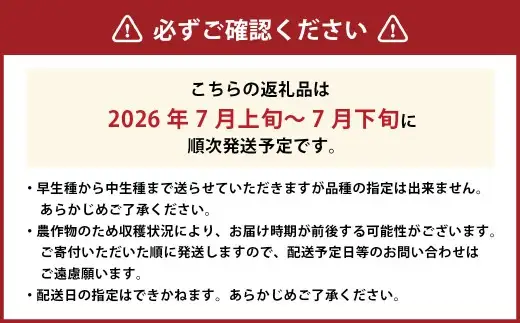 岡山白桃 ロイヤル 3玉 約800g 【2026年7月上旬～7月下旬発送予定】 ／ 白桃 桃 もも モモ