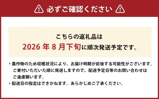 【ご家庭用】 岡山白桃 晩生 4～5玉 計約1.2kg 【2026年8月下旬発送予定】 ／ 白桃 桃 もも モモ