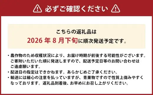岡山白桃 晩生 ロイヤル 3玉 約800g 【2026年8月下旬発送予定】 ／ 白桃 桃 もも モモ