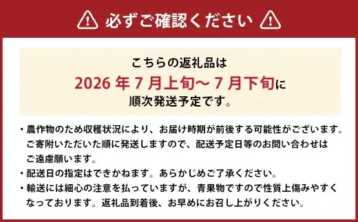 清水白桃 エース 3玉 約750g 【2026年7月上旬～7月下旬発送予定】 ／ 白桃 桃 もも モモ