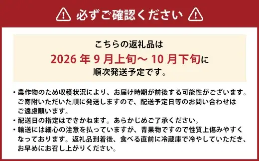 シャインマスカット 2房 約1.2kg 【2026年9月上旬～10月下旬発送予定】 ／ マスカット 葡萄 ブドウ 種無し 種なし