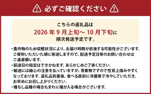 クイーンニーナ 2～3房 計約1.1kg 【2026年9月上旬～10月下旬発送予定】 ／ 葡萄 ブドウ 種無し 種なし