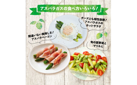 先行予約 訳あり アスパラガス 1kg 令和8年産 アスパラ アスパラ アスパラ アスパラ アスパラ アスパラ アスパラ JA002_01