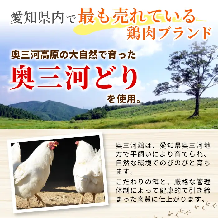 奥三河どり使用！ 田口塩鶏 味付け むね肉 1kg 塩ダレ ムネ肉 味付け肉 鶏肉 鶏 肉 キャンプ バーベキュー 味付け肉 大容量 手軽 焼くだけ 地鶏 焼肉 焼き鳥 -178