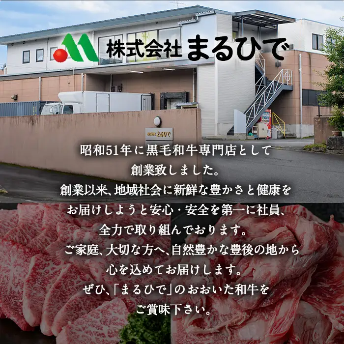 ＜定期便・全3回(隔月)＞おおいた 味力 ソーセージ セット(総量3.42kg) ウィンナー ベーコン 定期便 国産 冷凍 豚肉 鳥肉 詰め合わせ 惣菜 おかず お弁当 粗挽き あらびき 大分県 佐伯市【DP79】【まるひで】