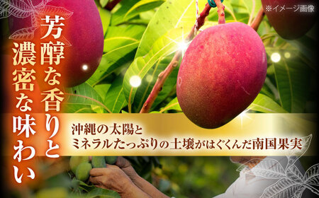 【2026年発送】 完熟マンゴー 約2kg (4〜6玉) 贈答用 沖縄マンゴー