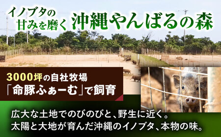 ソーセージ ハンバーグ 『命豚ソーセージ4種＆命豚ハンバーグ2種セット』  BCAR002 豚肉