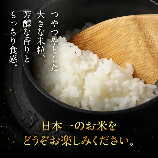 【2025年産米】（2026年9月発送）2kg×1 飛騨産・龍の瞳（いのちの壱）株式会社龍の瞳直送 米 令和7年産 精米【14-11【9】】りゅうのひとみ いのちのいち 下呂市 龍の瞳