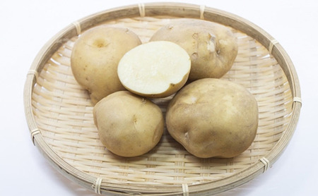 静岡県浜松市産 三方原馬鈴薯 秀品 L 10kg 男爵 じゃがいも じゃが芋 ジャガイモ 国産 野菜 浜松市