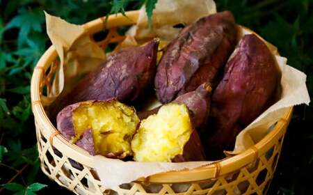 004-1303 はるか姫 約3.5kg（A品） さつまいも いも イモ 芋 紅はるか べにはるか 国産 常温 大分県 豊後大野市 【2025年11月下旬～2026年5月下旬発送予定】