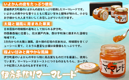 【愛媛県産】うまいがぜ伊方手作りマーマレード（200g×3個） 【ふるさと納税 人気 おすすめ ランキング マーマレード いよかん 伊予柑 みかん ミカン 蜜柑 クリエイト伊方 愛媛県産 愛媛県 伊方町 送料無料】 IKTI012