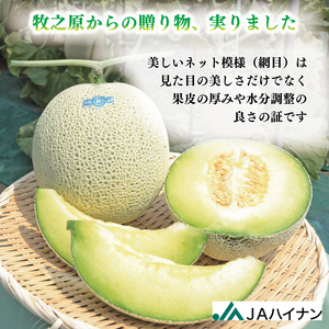 【先行予約】令和8年度産 数量限定 アールス メロン 2玉 1.5kg以上  JA ハイナン 牧之原市 静岡県 【2026年7月から順次発送】