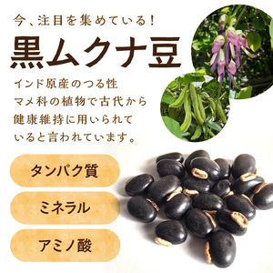 人生まだまだ！黒ムクナ豆茶 ティーバッグ1.5g×30袋《 黒ムクナ豆 健康茶 香ばしい お茶 チャック付き ティーパック ティータイム 》【2400G02811】