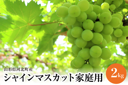 【令和8年産】ご家庭用シャインマスカット 2kg（2～4房） 山形県河北町産【JAさがえ西村山】 ka008-017e-r8