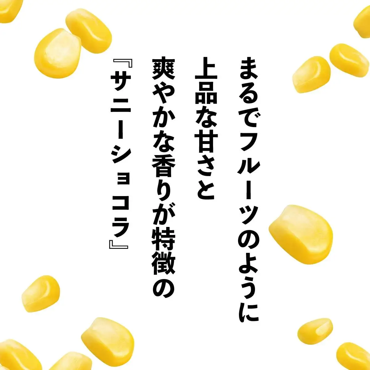 上品な甘さのトウモロコシ「サニーショコラ」(3.5kg前後/10本)　| サニーショコラ トウモロコシ 甘い コーン とうもろこし 野菜 BBQ おやつ