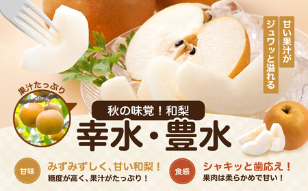 南信州産 梨 約10kg ＜ 幸水 ・ 豊水 ＞ いずれか1品種 おまかせ 【2026年8月中旬～発送】