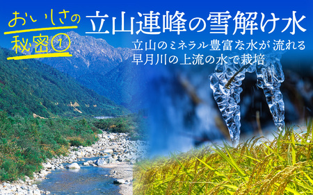 富山湾一望米　コシヒカリ 精米 【容量5kg】 [A-051002]