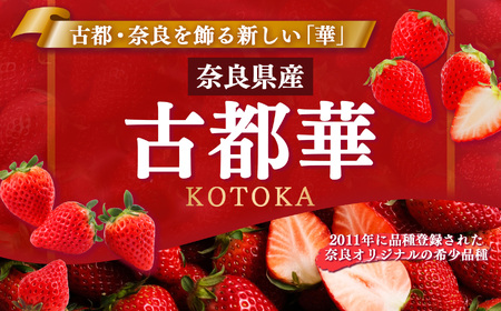 古都華 約540g （270g×2P）Lサイズ以上 