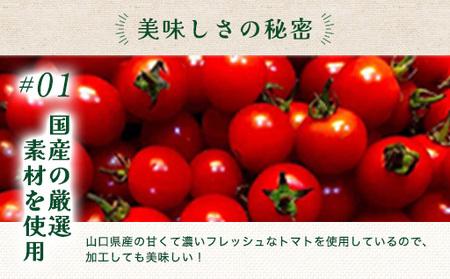 ちょっと贅沢 海賊風パスタソース4個セット 剣先イカ のどぐろ トマトソース パスタ パエリア 贈り物 パッケージ レトルト