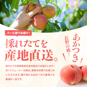 【7月下旬より順次発送】南信州産「桃」あかつき 約3kg 10~12玉｜長野県 飯田市