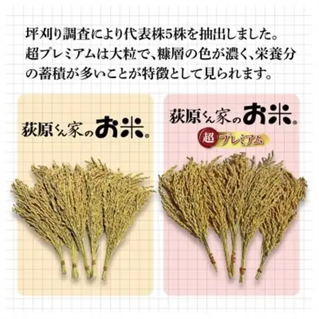 令和7年産　荻原くん家のお米 超プレミアム(白米)　5kg　【1620835】