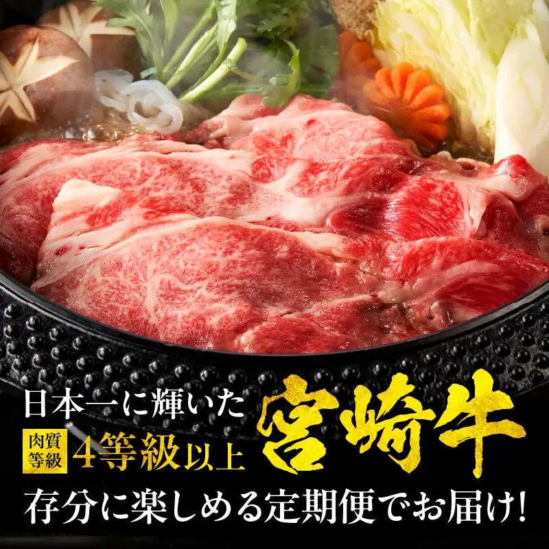 【定期便全12回】宮崎牛 匠の堪能コース 宮崎牛 黒毛和牛 切り落とし 赤身 しゃぶしゃぶ ロース カルビ 焼き肉 焼肉 スライス ステーキ 冷凍 毎月 定期便