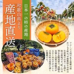 柿 【訳あり・ご家庭用】柿農園「渋柿隊」が直送 たねなし柿「渋あり」訳あり 約5kg【9月下旬～11月初旬頃順次発送】【CD-wann003A】