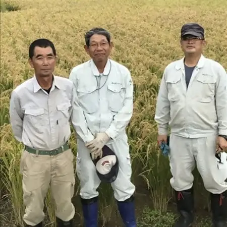 【令和7年産米】恋の予感5kg【1623583】