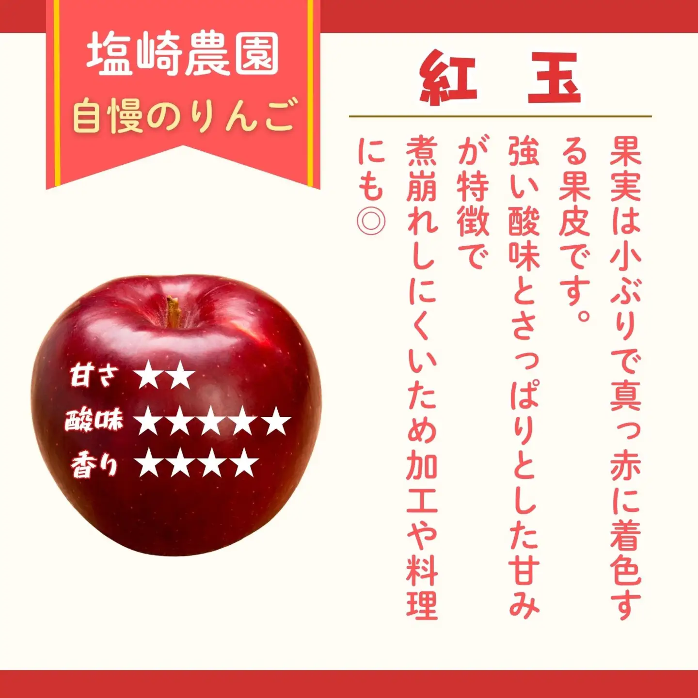 りんご 紅玉 約2～2.5kg（8～14玉）【2026年10月上旬より発送 先行予約】At-007