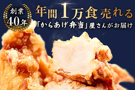 【ふるなび限定】【揚げるタイプ】鶏のからあげ もも1.0kg（500g×2パック）FN-Limited-PR【3518401】